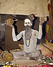 sadhu naga sadhus